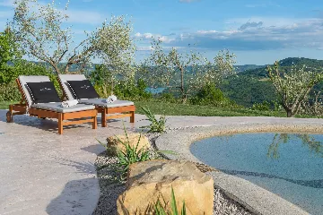Contemporary Villa Retreat with Pool in Sovinjska Brda