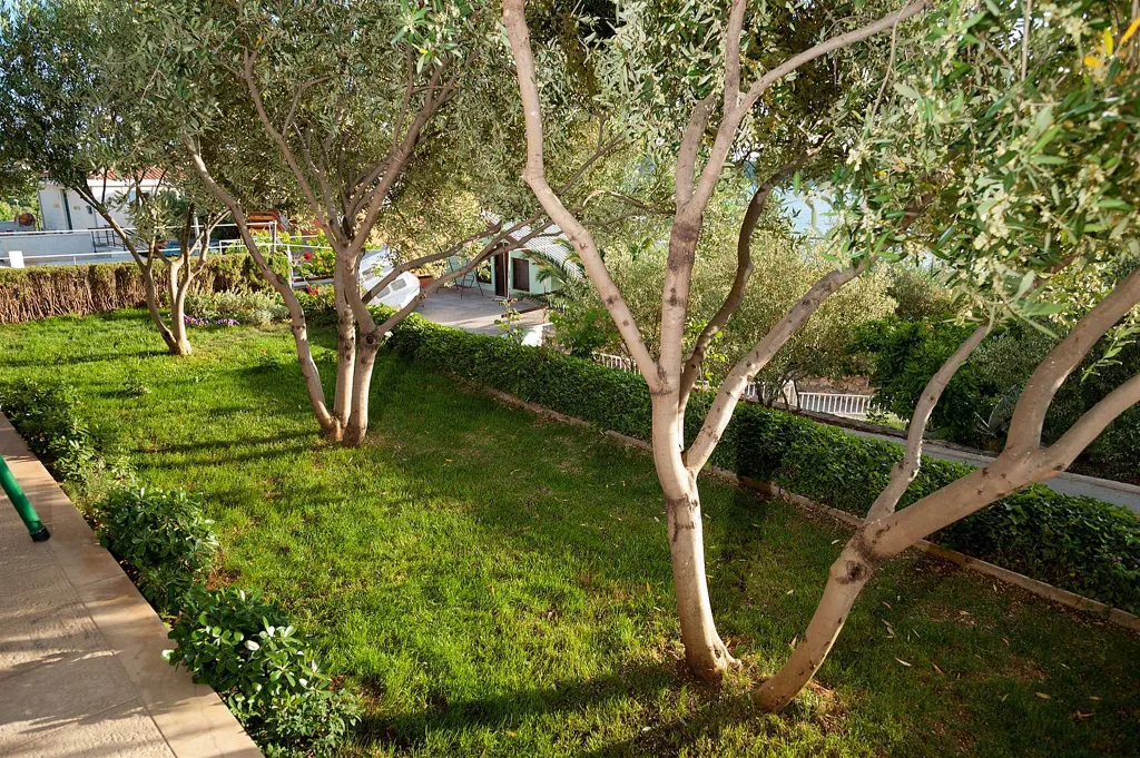 Contemporary Villa Retreat with Pool in Rogoznica
