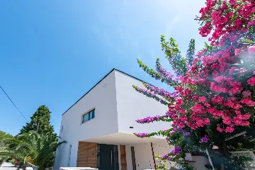 Modern Villa with Pool in Premantura