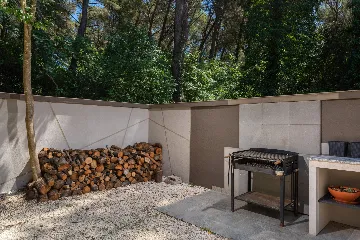 Modern Family Villa with Pool in Medulin