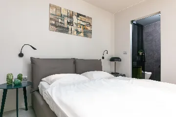 Spacious Family Villa with Pool in Kaštelir