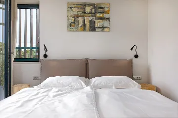 Spacious Family Villa with Pool in Kaštelir