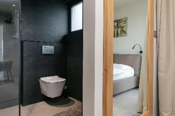 Spacious Family Villa with Pool in Kaštelir