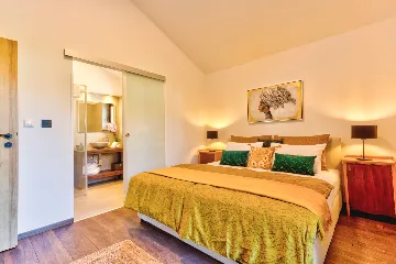 Modern Poolside Villa in Kaštelir, Croatia