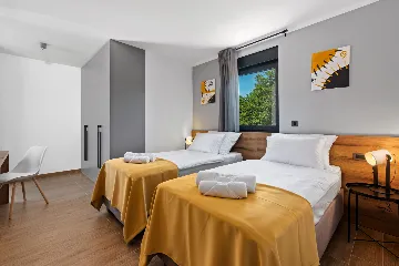 Modern Family Villa with Pool in Labin