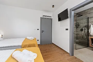 Modern Family Villa with Pool in Labin