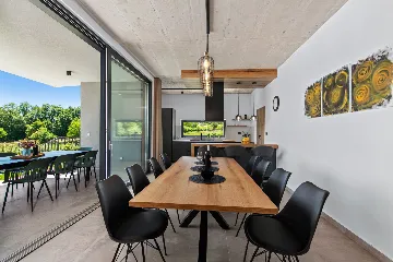 Modern Family Villa with Pool in Labin