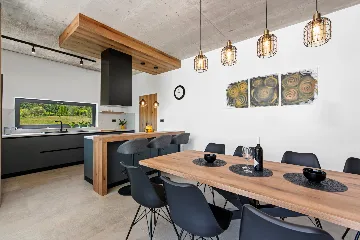 Modern Family Villa with Pool in Labin