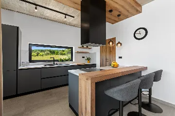 Modern Family Villa with Pool in Labin