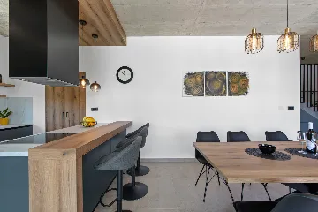 Modern Family Villa with Pool in Labin