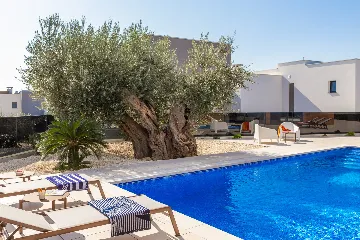 Spacious Family Villa with Pool in Vodnjan