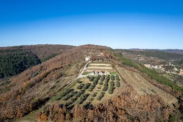 Hillside Retreat Villa with Pool, Groznjan