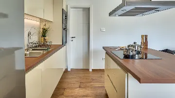 Spacious Pool Villa Retreat in Novalja