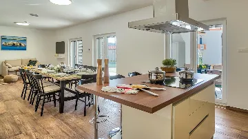 Spacious Pool Villa Retreat in Novalja