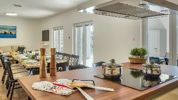 Spacious Pool Villa Retreat in Novalja