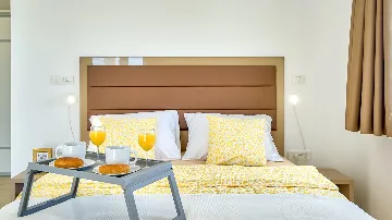 Spacious Pool Villa Retreat in Novalja