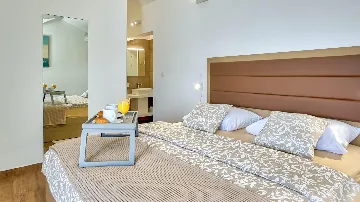 Spacious Pool Villa Retreat in Novalja