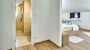 Spacious Pool Villa Retreat in Novalja