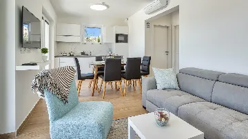 Contemporary Villa with Pool in Novalja