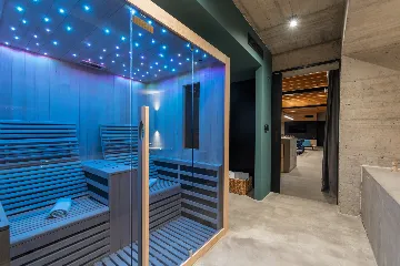 Contemporary Villa with Pool in Golubići