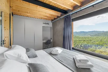 Contemporary Villa with Pool in Golubići