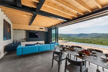 Contemporary Villa with Pool in Golubići