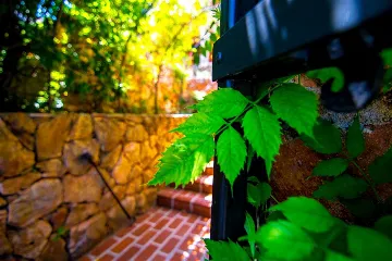 Seaside Villa Retreat with Pool in Jelsa