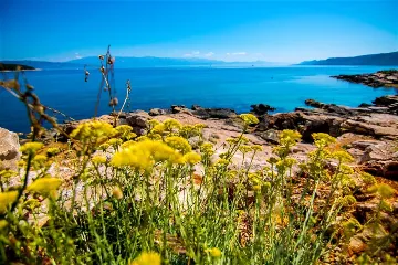 Seaside Villa Retreat with Pool in Jelsa