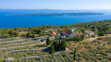 Spacious Villa Retreat with Pool in Jelsa