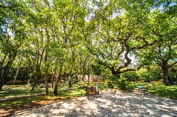 Heritage Stone Villa with Pool in Čilipi