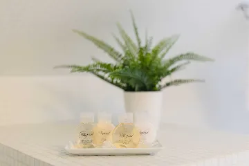 Elegant Heritage Villa with Pool in Dubrovnik