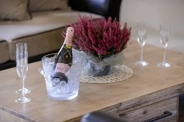 Elegant Heritage Villa with Pool in Zaton