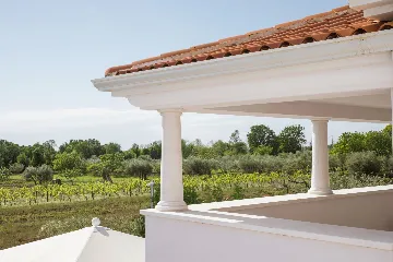 Family Villa with Pool in Vabriga