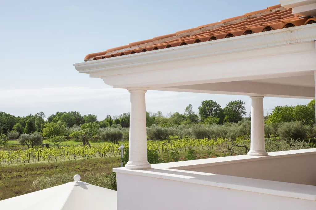 Family Villa with Pool in Vabriga