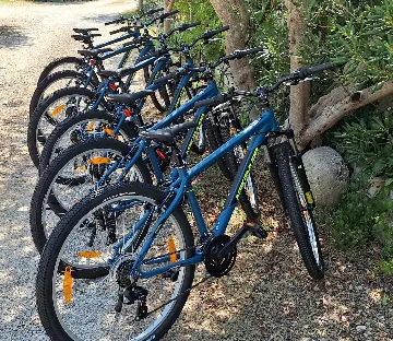 Family Villa with Pool in Sukošan