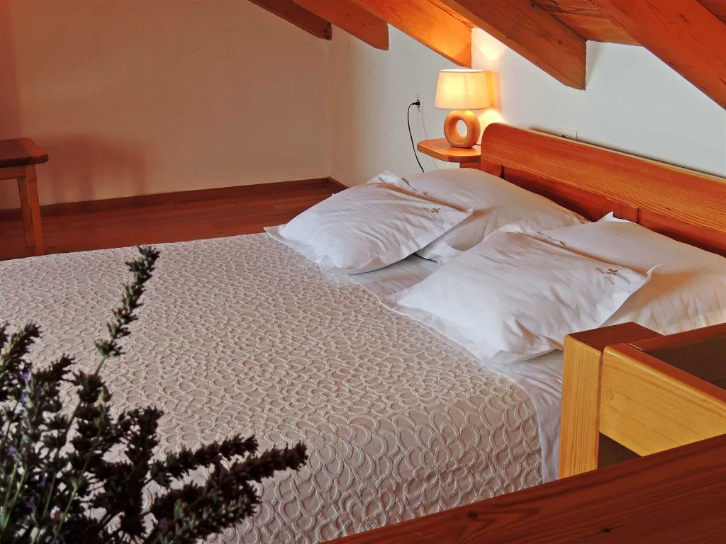Private Villa with Pool in Jesenice