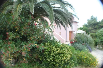 1-Bedroom Apartment in Mali Lošinj for 1 Guest