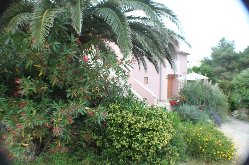 1-Bedroom Apartment in Mali Lošinj for 1 Guest