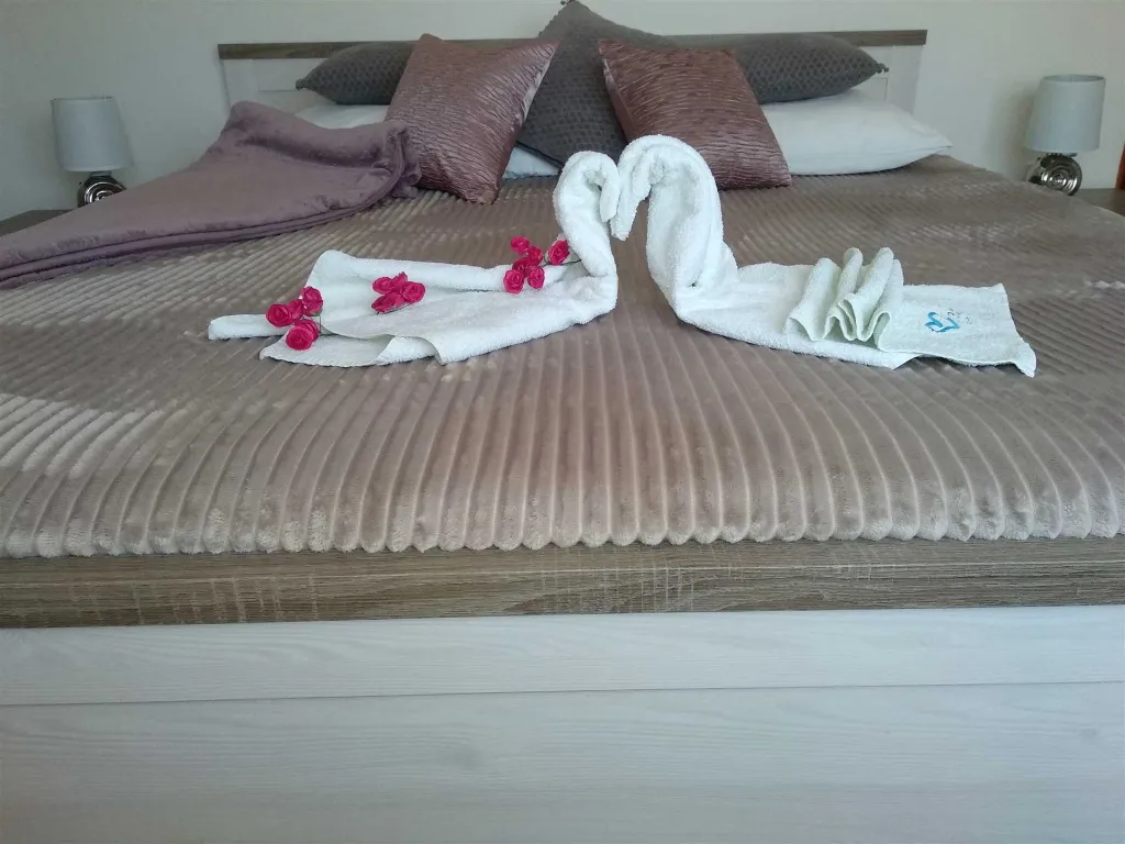 Biograd app - prizemlje sa terasom