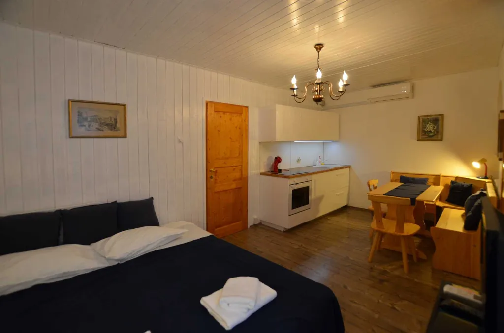 One-Bedroom Apartment in Rovinj (Sleeps 3)