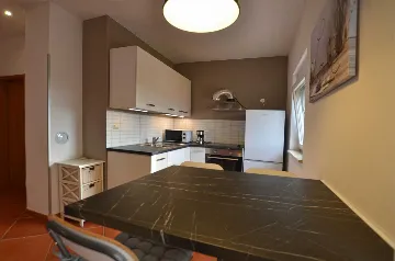 1-Bedroom Apartment for Up to 4 Guests in Rovinj