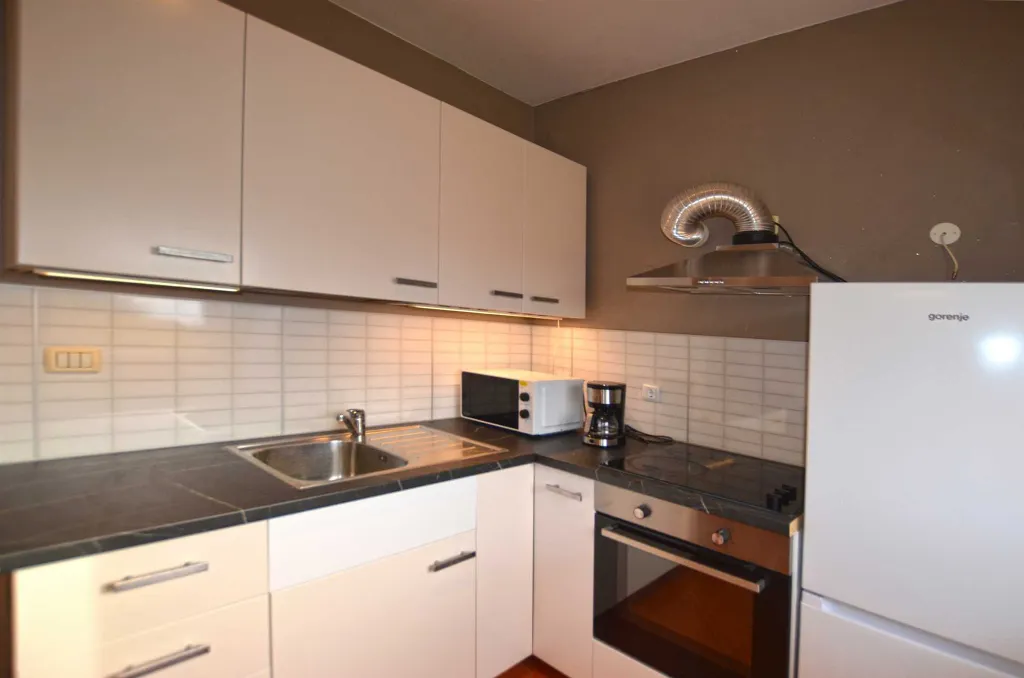 1-Bedroom Apartment for Up to 4 Guests in Rovinj