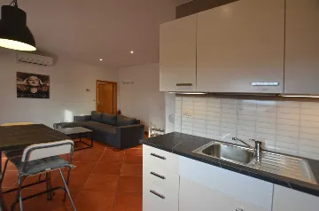 1-Bedroom Apartment for Up to 4 Guests in Rovinj