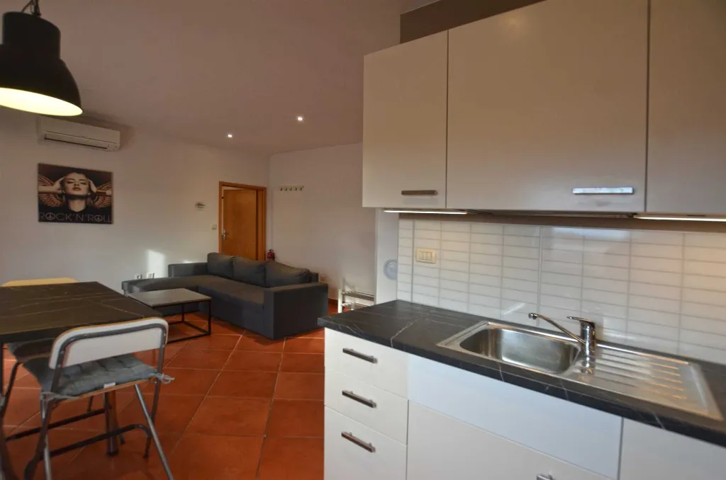 1-Bedroom Apartment for Up to 4 Guests in Rovinj