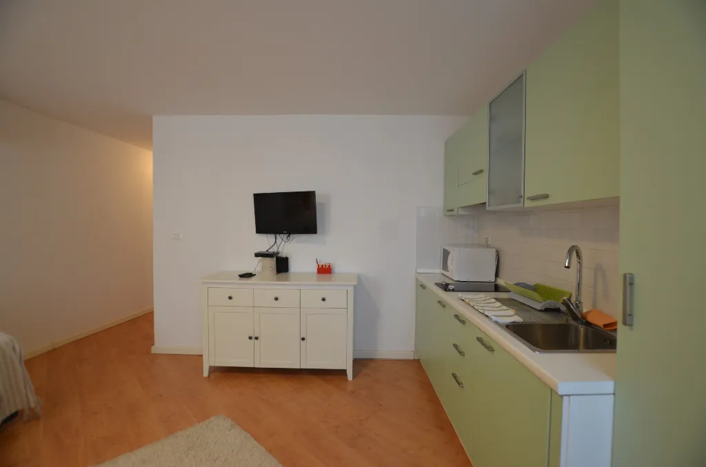 Rovinj 1-Bedroom Apartment for Up to 4 Guests