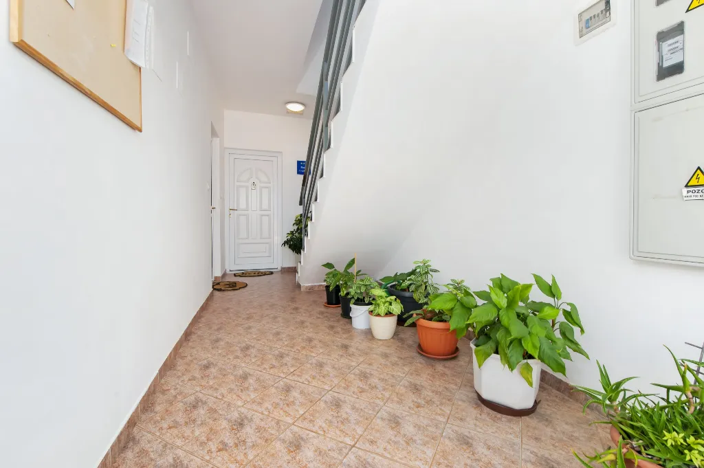 Apartment in Rovinj for Up to 4 Guests