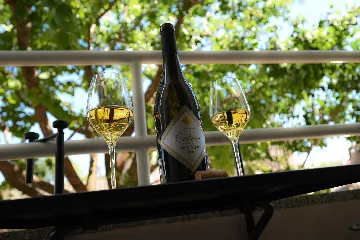 One-Bedroom Apartment in Rovinj for 2