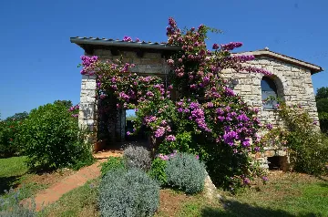 Rovinj Villa with Private Pool for up to 5