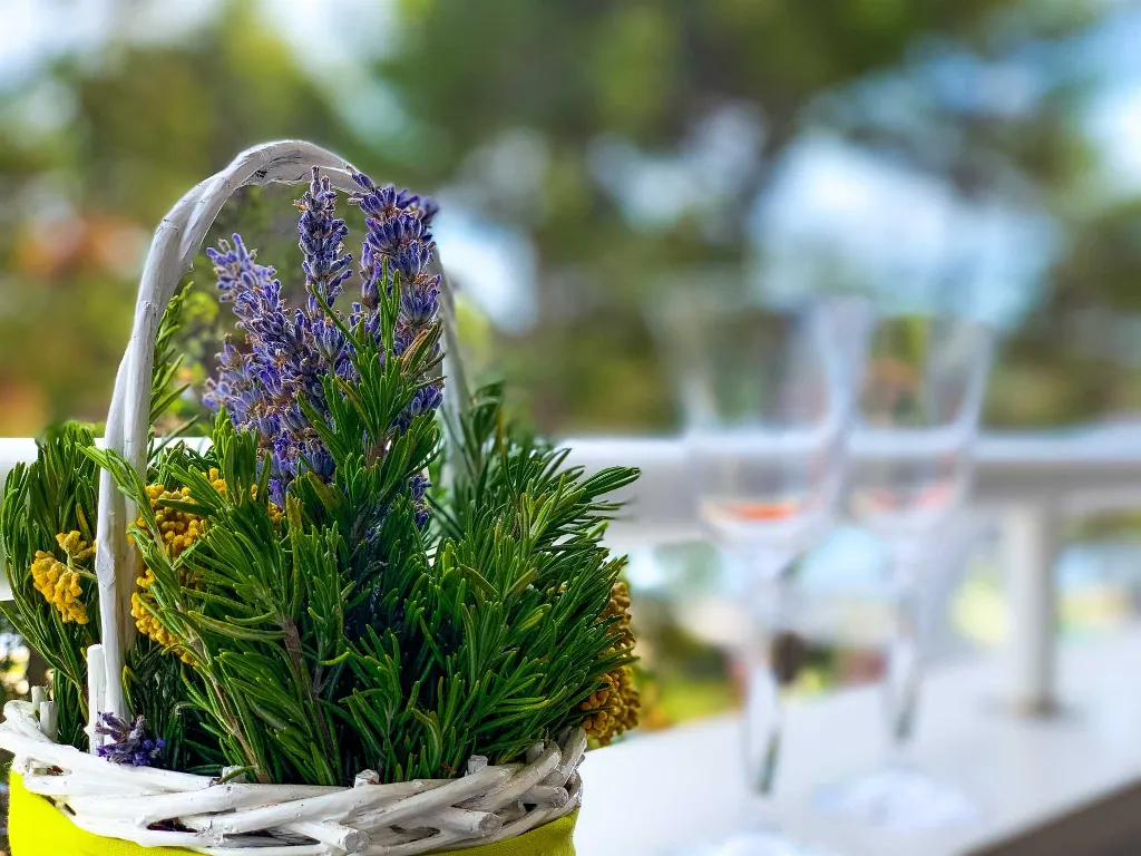 Apartman, Dugi Otok, Verunic - Iznajmljivanje(Sakarun)