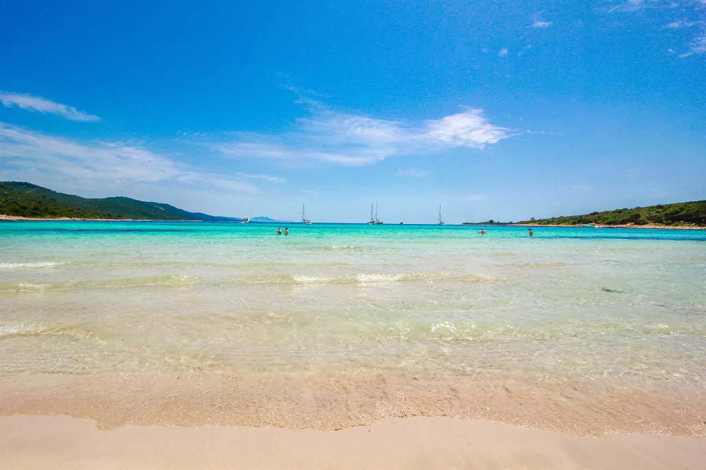 Apartman, Dugi Otok, Verunic - Iznajmljivanje(Sakarun)